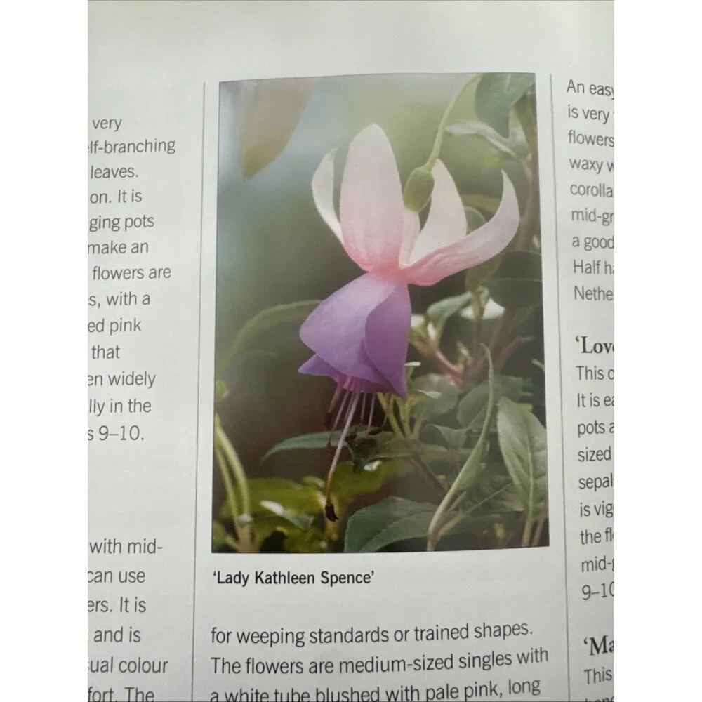JOHN NICHOLASS - THE ILLUSTRATED GARDENER'S GUIDE TO GROWING FUCHSIAS